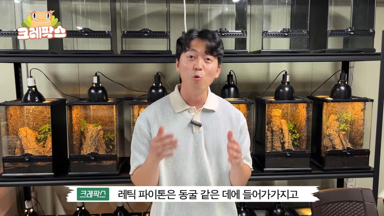 35.png 파충류 전문가가 본 영주 왕도마뱀, 비단뱀, 악어 유기 사건