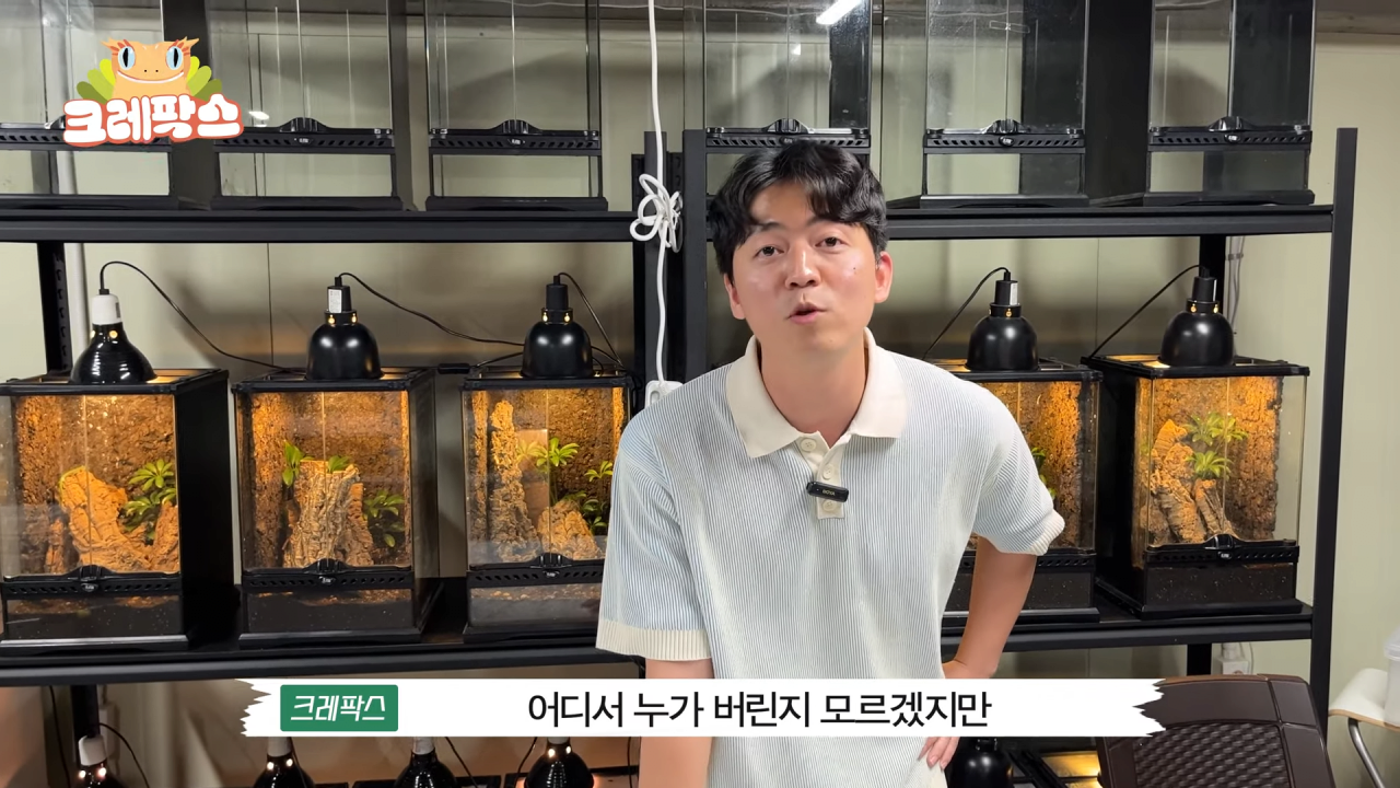 27.png 파충류 전문가가 본 영주 왕도마뱀, 비단뱀, 악어 유기 사건