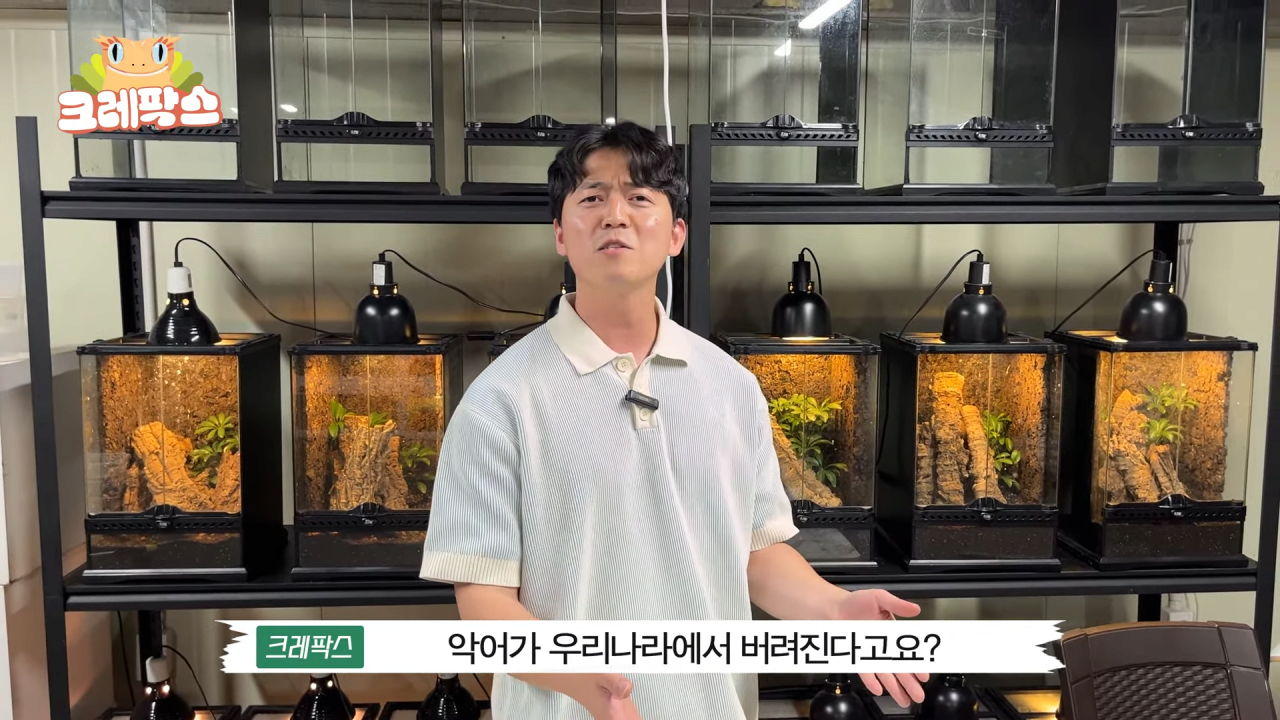 30.png 파충류 전문가가 본 영주 왕도마뱀, 비단뱀, 악어 유기 사건