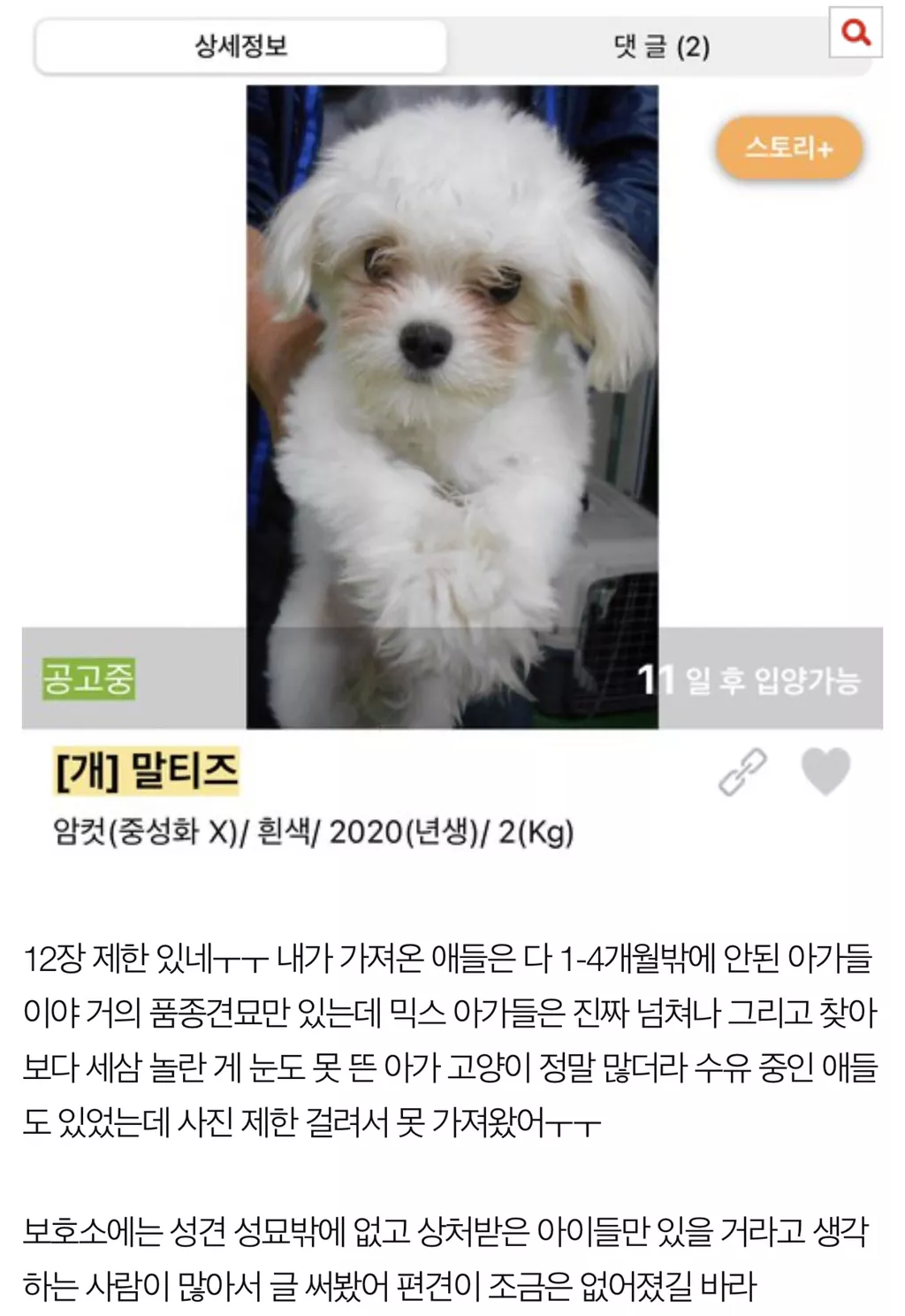 보호소에도 애기 많아 3번째 사진