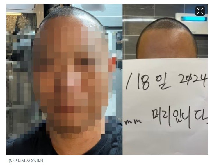 스크린샷_21-8-2024_214342_www.news1.kr.jpeg