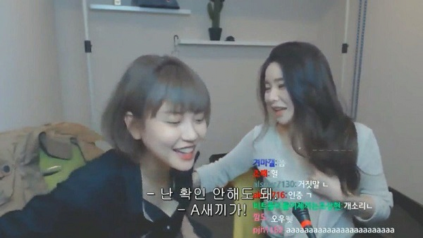 김짤.com_005.png