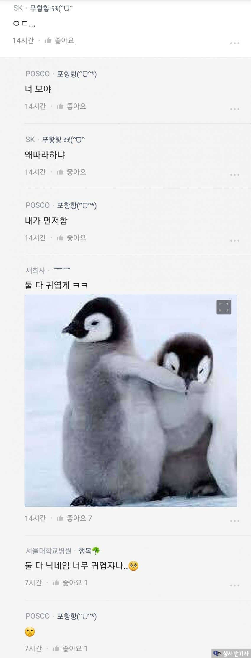 16927885032134.jpg