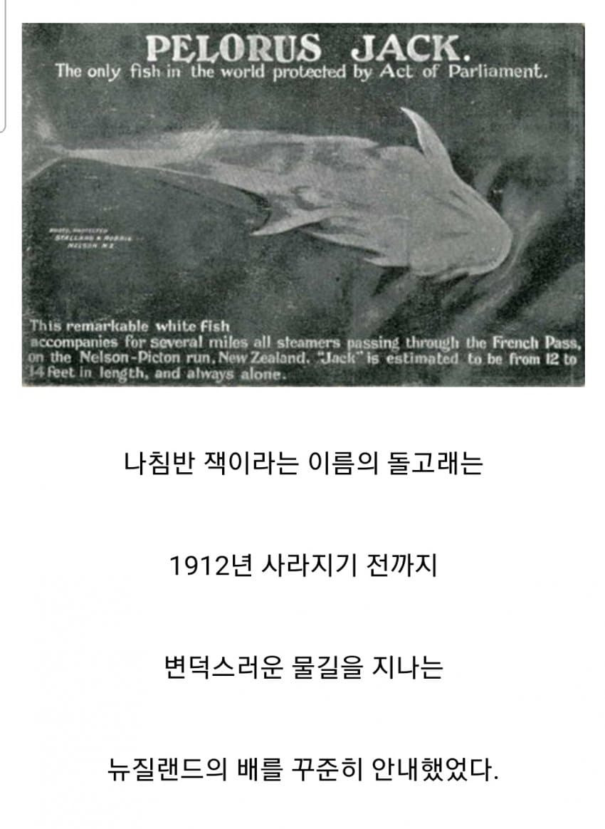 16930974781682.jpg