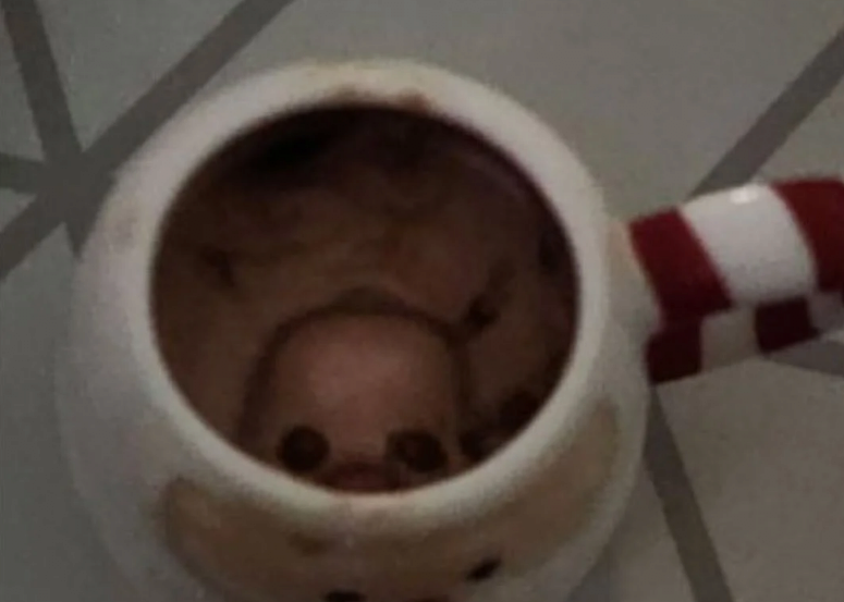 image.png 미떼 핫초코 잔망루피 에디션 논란 ㄷㄷㄷ.jpg