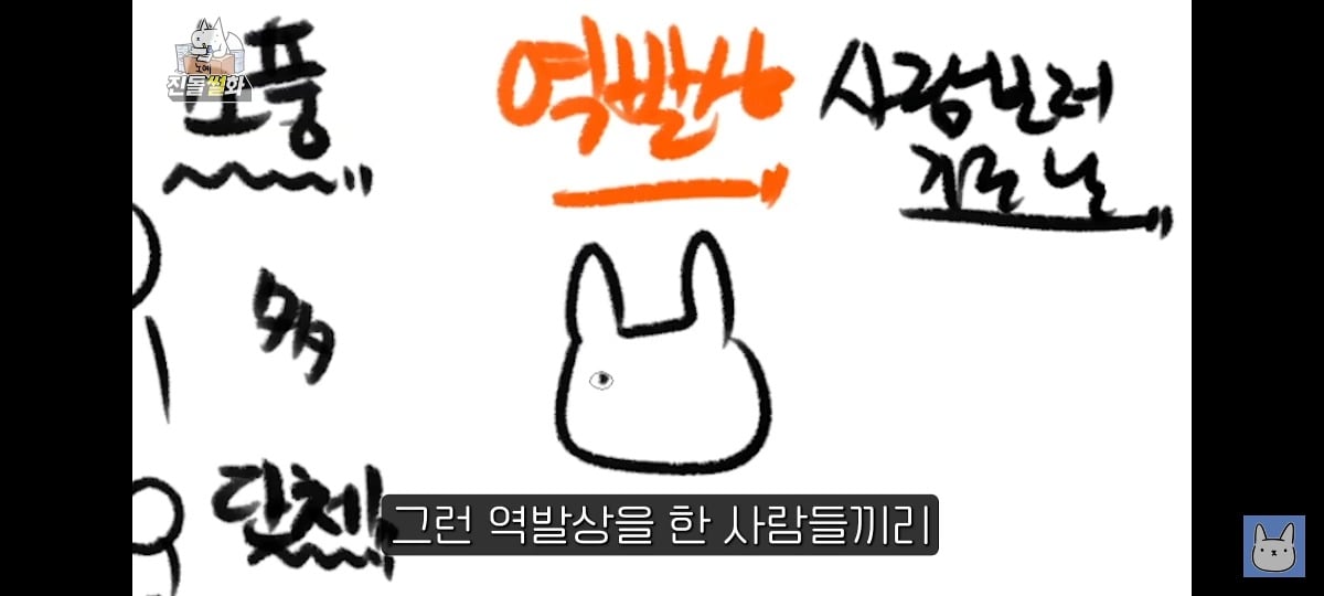 김짤.com_042.jpg