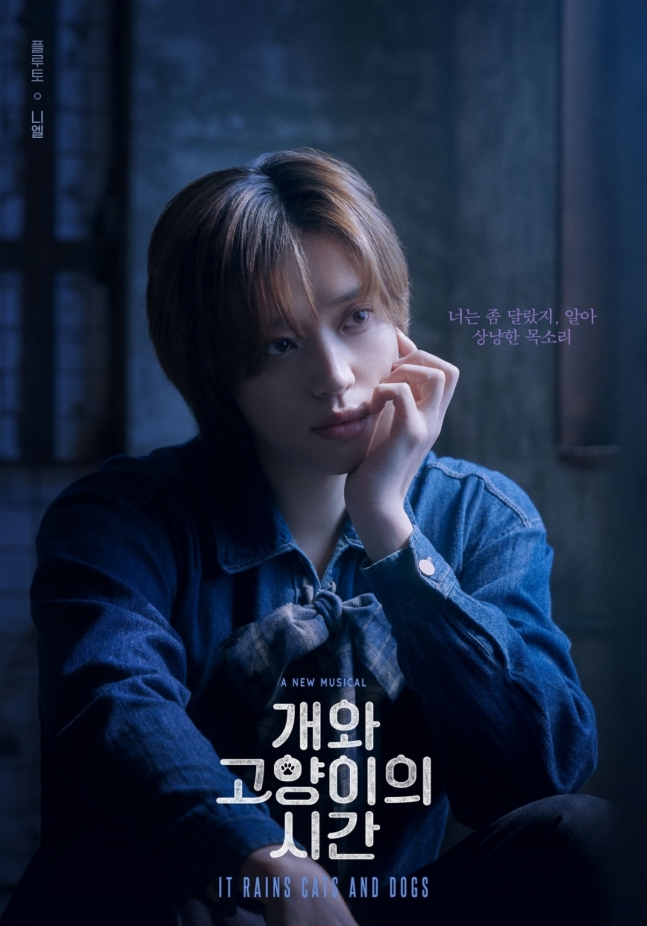 니엘, 4년 만에 다시 고양이..'개와 고양이의 시간' 첫 무대