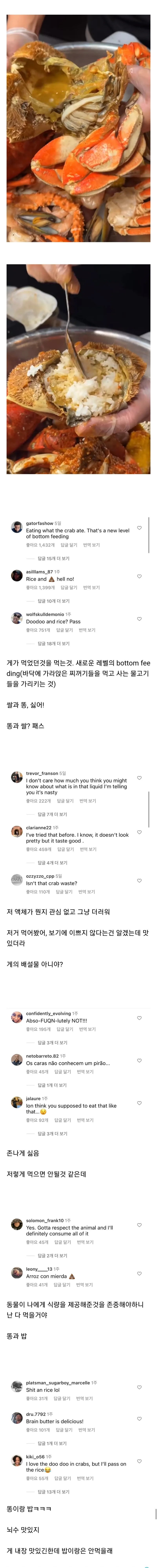 1.webp.ren.jpg 게딱지 비빔밥을 본 외국인들 반응.jpg