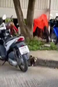465EEF76-344D-4773-A8A9-929D8DB93D64.gif