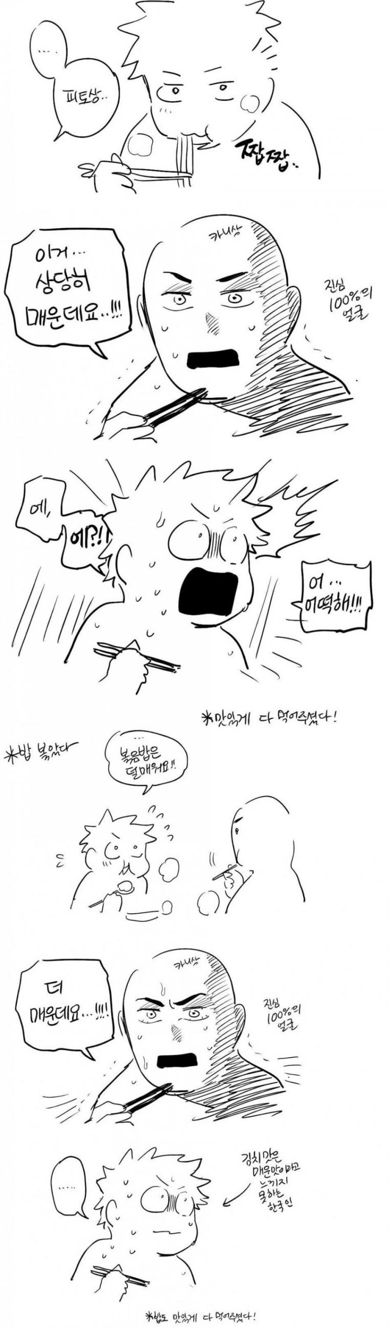IMG_2297.jpeg 한국인의 매운맛 척도가 박살난 증거.jpg