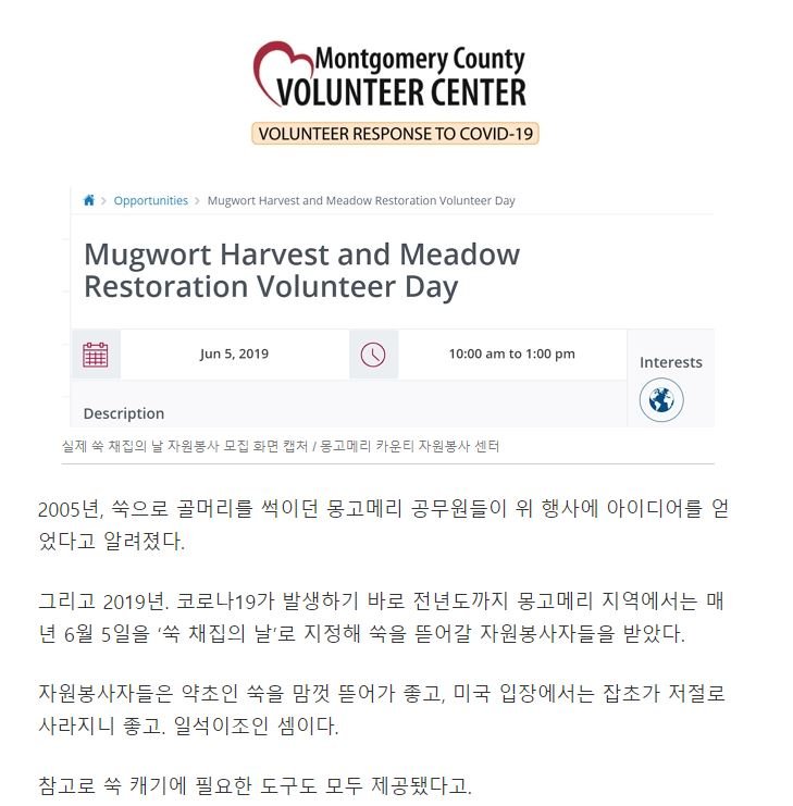 ㅌㅊㅂㅊㅂ.JPG 미국 공원에 정체불명의 식물이 퍼지자 한국인들이 모여들었다.