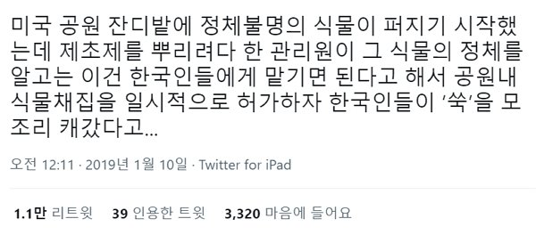 e9505fbb46dcb82aee32d8e8d7cb350c.jpg 미국 공원에 정체불명의 식물이 퍼지자 한국인들이 모여들었다.