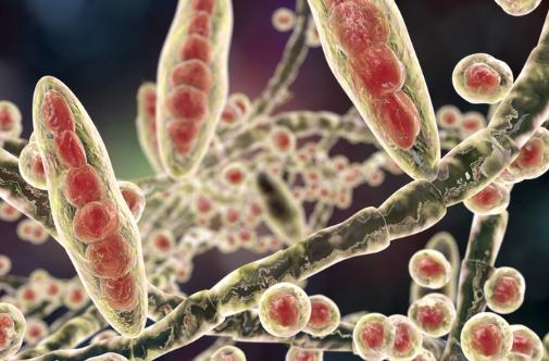 [정보/스압] 신발 벗기 두려운 분들을 위한 무좀 교과서.txt