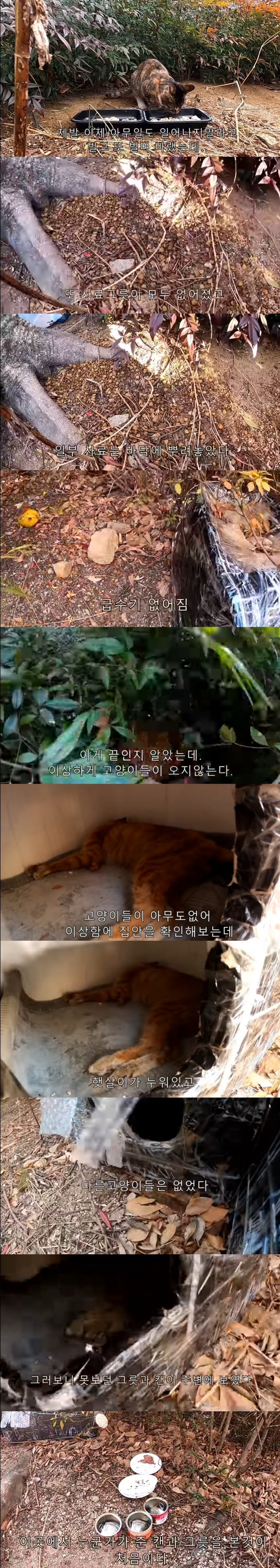 김짤.com_001.jpg