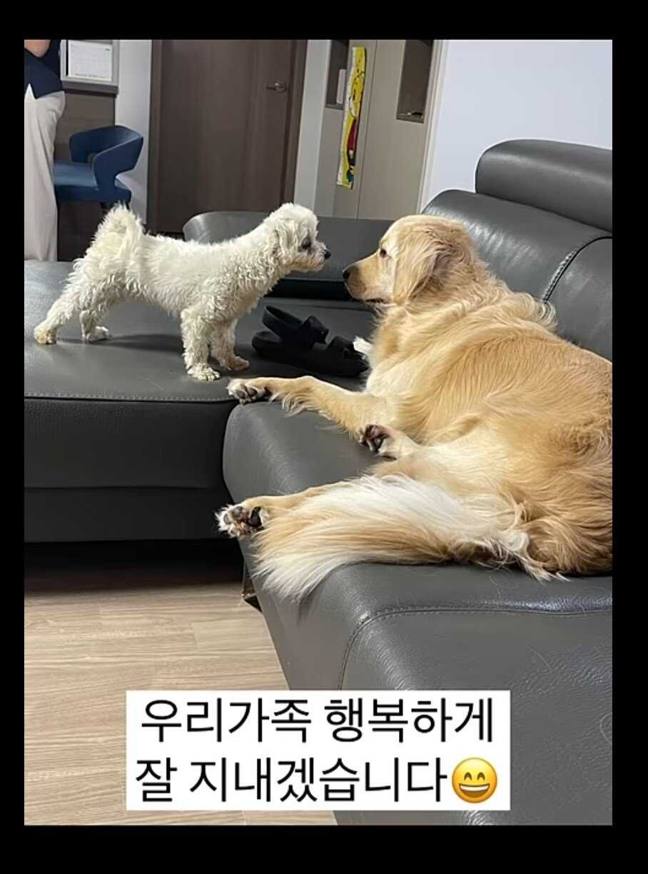 77142b18ea4d8f68b4afa3960df32bf1c722e020.jpg 섬에 낚시하러 갔다가 유기견 만나서 입양한 댕댕이 유튜버 근황 ㄷㄷㄷ..JPG