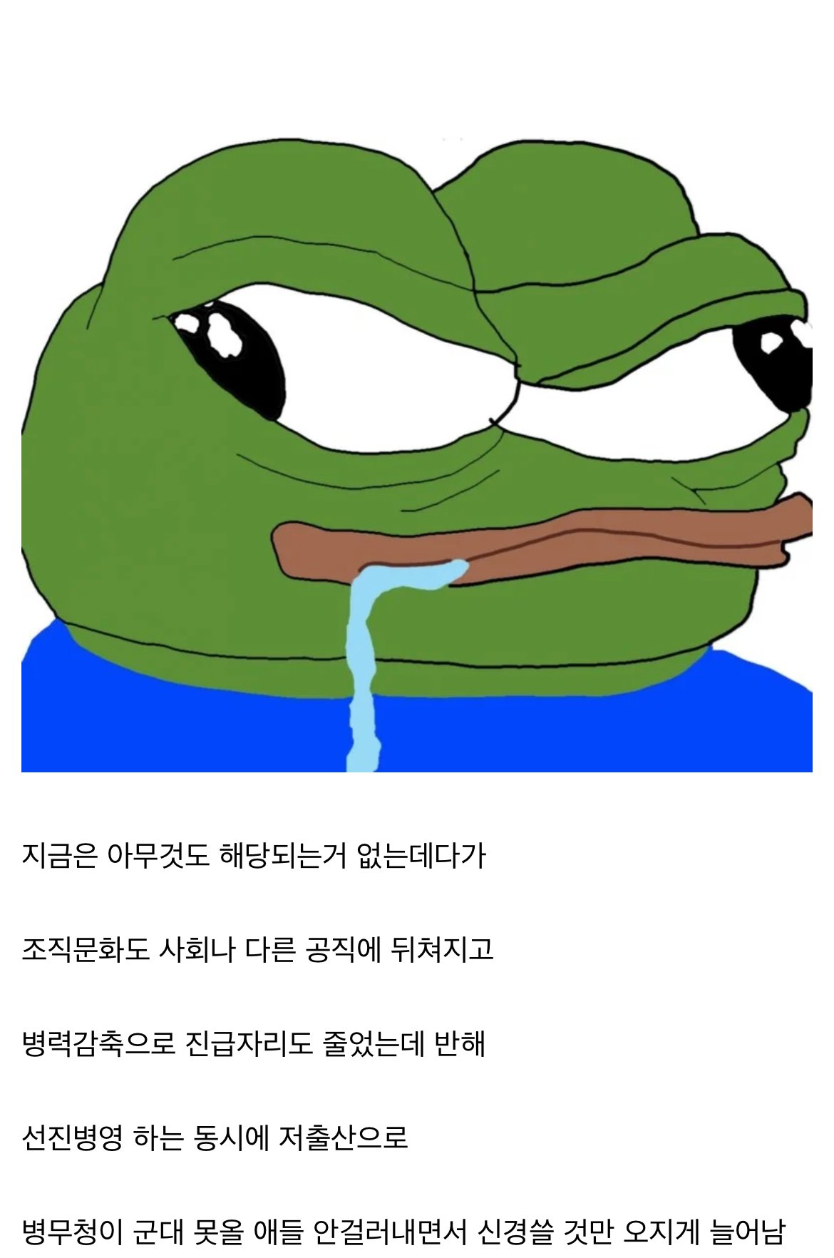 P_007.jpg