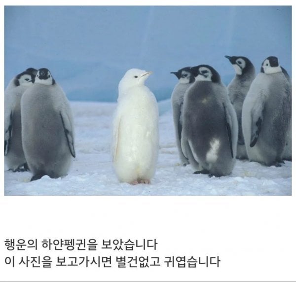 1686762238988.jpg 잘배운 사람의 다정함