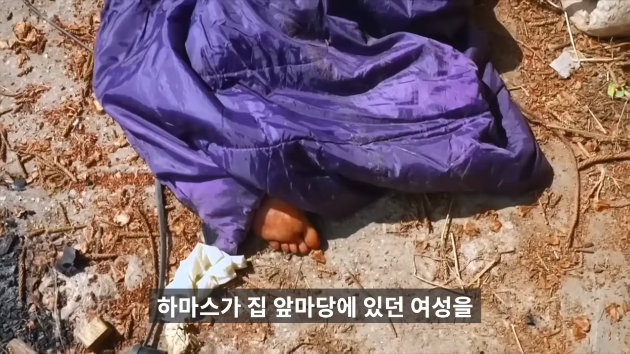김짤.com_037.png
