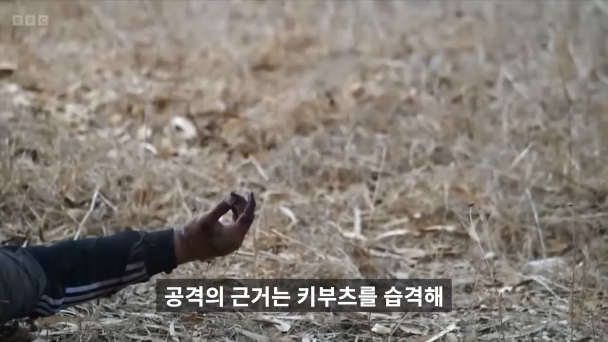 김짤.com_021.png