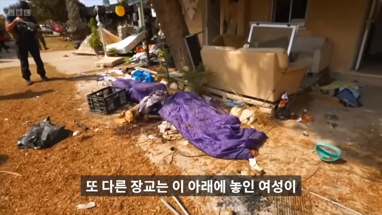 김짤.com_035.png