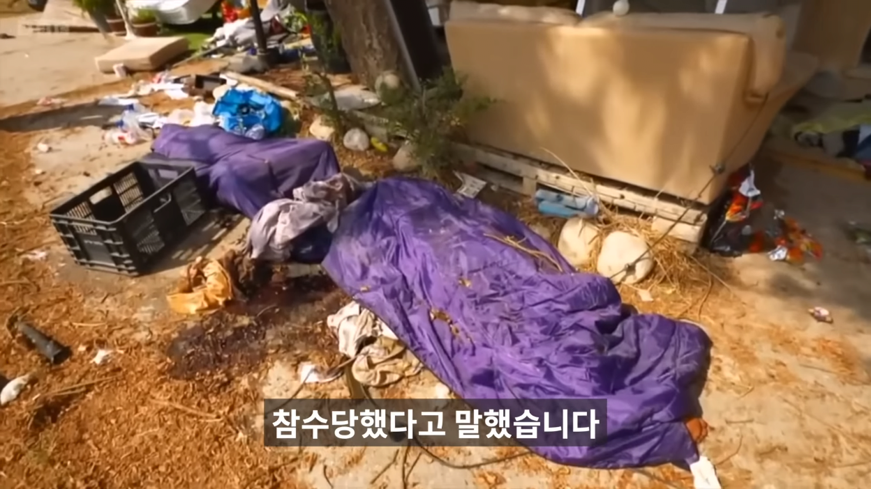 김짤.com_036.png