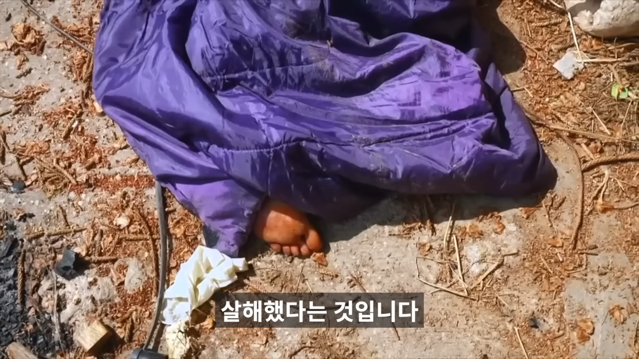김짤.com_038.png