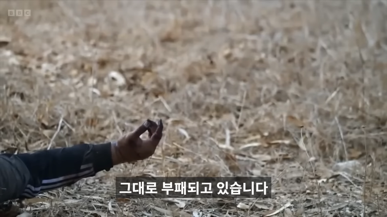 김짤.com_020.png