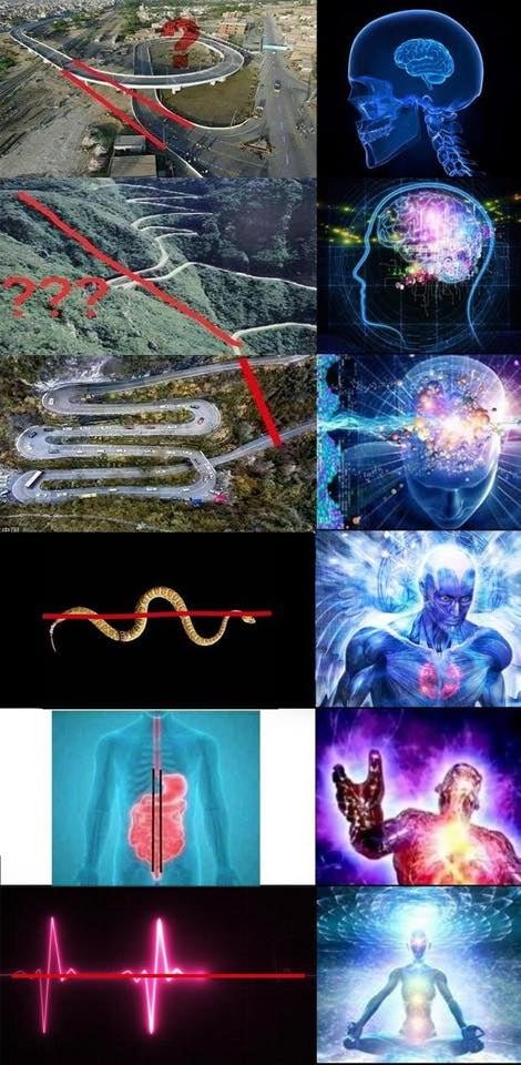 93f805b722ca2a9e6f3151e7e40c9f93.jpg