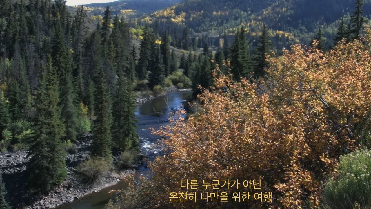 Internet_20230912_124957_2.jpeg 미국 SNL - 혼자 여행하는 여성을 위한 용품