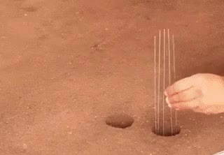 79FBC9CC-13E6-4169-BD3B-D35592EDF490.gif
