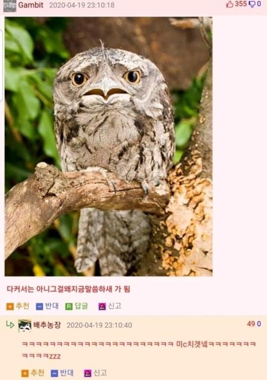 Internet_20230424_074653_2.jpeg