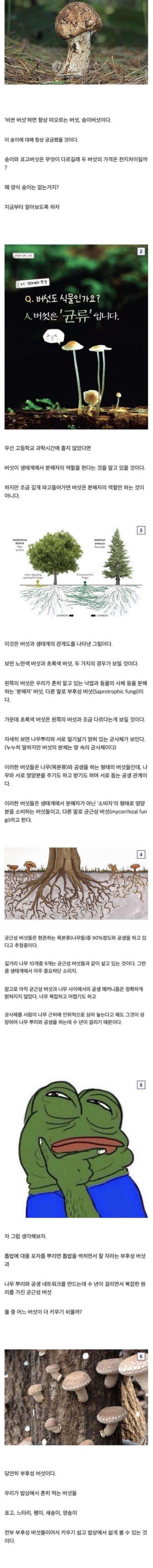 24post.co.kr_001.jpeg
