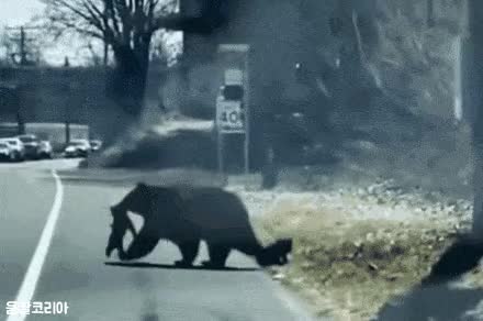 a4970cbda34792008d4f5ebf51c254e4_172762.gif