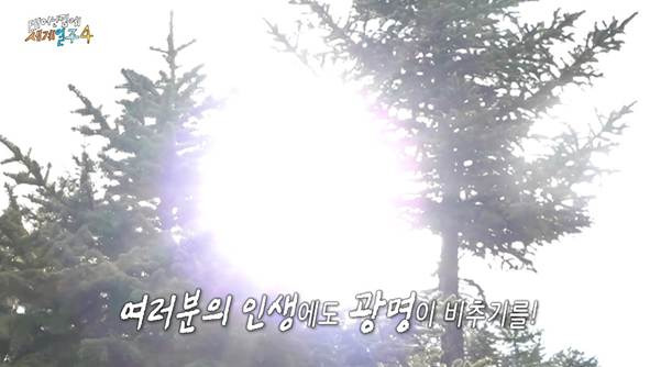 살면서 여행을 꼭 해봐야 하는 이유.jpg | 인스티즈