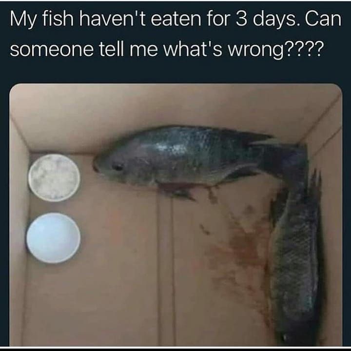 1.jpeg