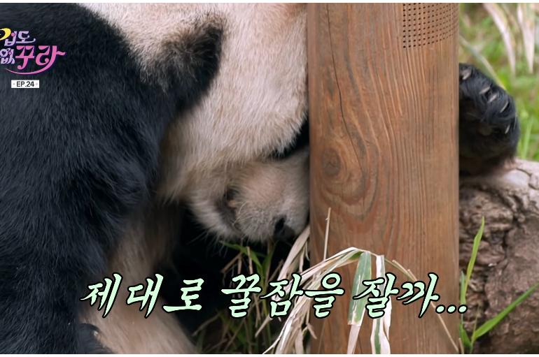 bbfea492fe0c4f8a4fe0646252f3fab7.png.jpg