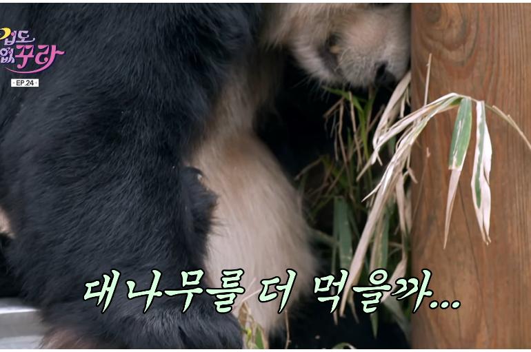 d1be70e2f8ad7905c5d9debc04d2587a.png.jpg