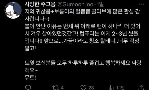 고양이 키우는 집 컴퓨터 본체 상태 | 인스티즈