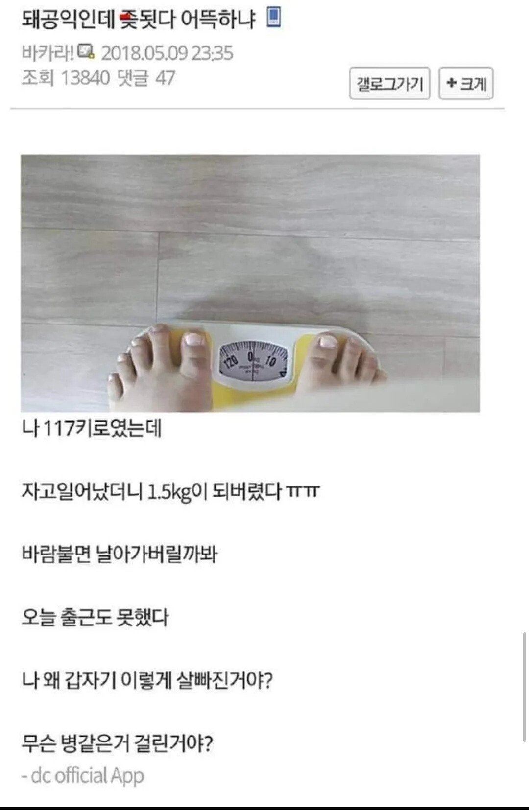 fe8b76b9c18cf41411bf47fbb16a2680fddb3881.webp.ren.jpg