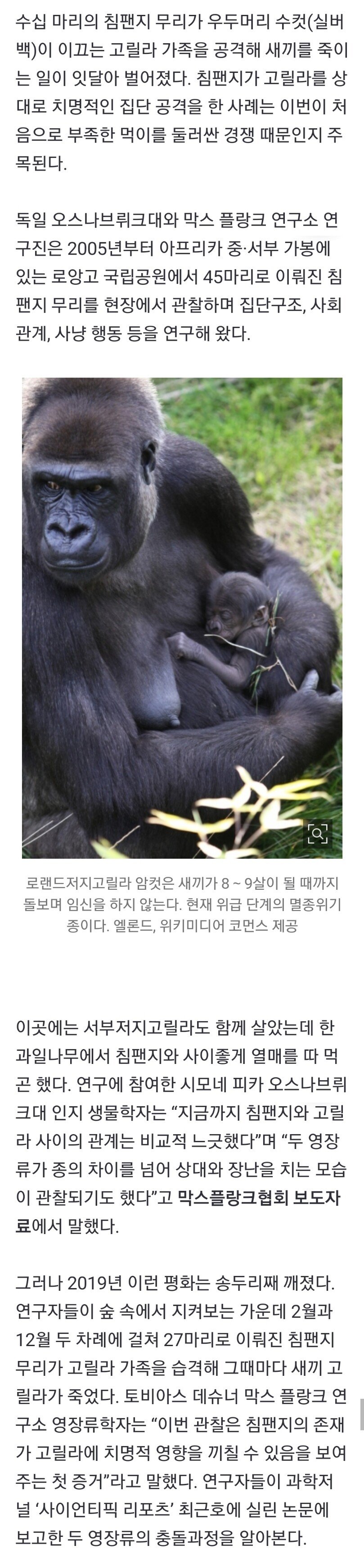 Screenshot_20210728-183925_Video Downloader.jpg 침팬지와 고릴라의 전쟁