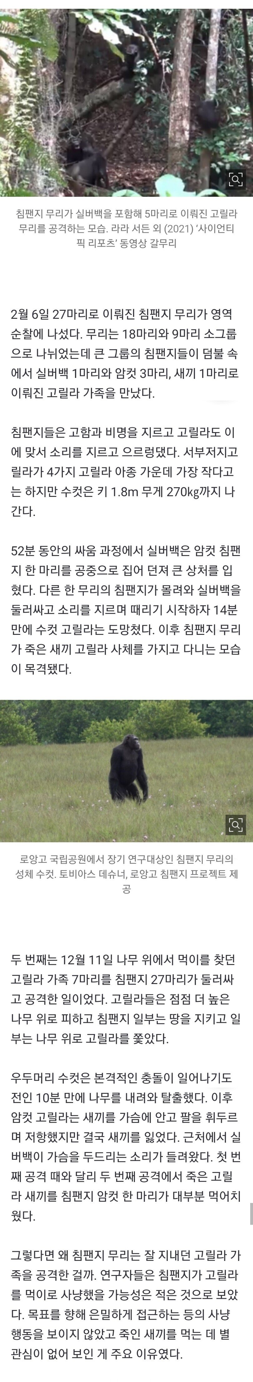 Screenshot_20210728-184007_Video Downloader.jpg 침팬지와 고릴라의 전쟁