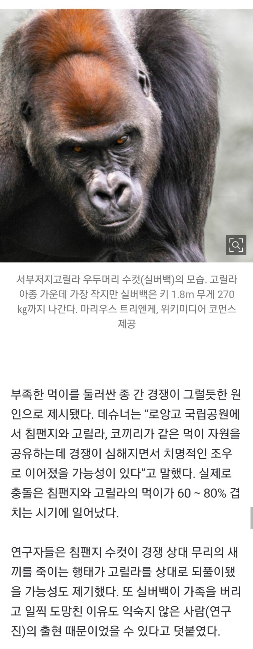 Screenshot_20210728-184046_Video Downloader.jpg 침팬지와 고릴라의 전쟁