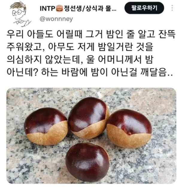 image.png 밤인 줄 알고 먹으면 큰일나는 밤같이 생긴 열매