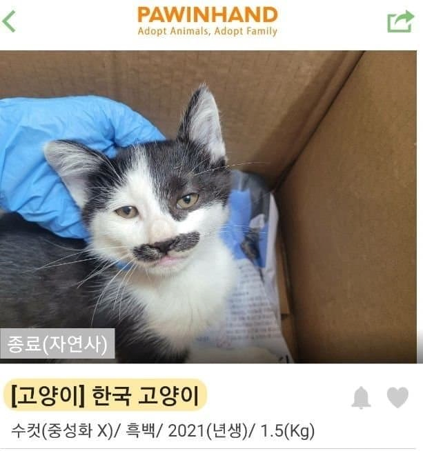 김짤.com_002.png