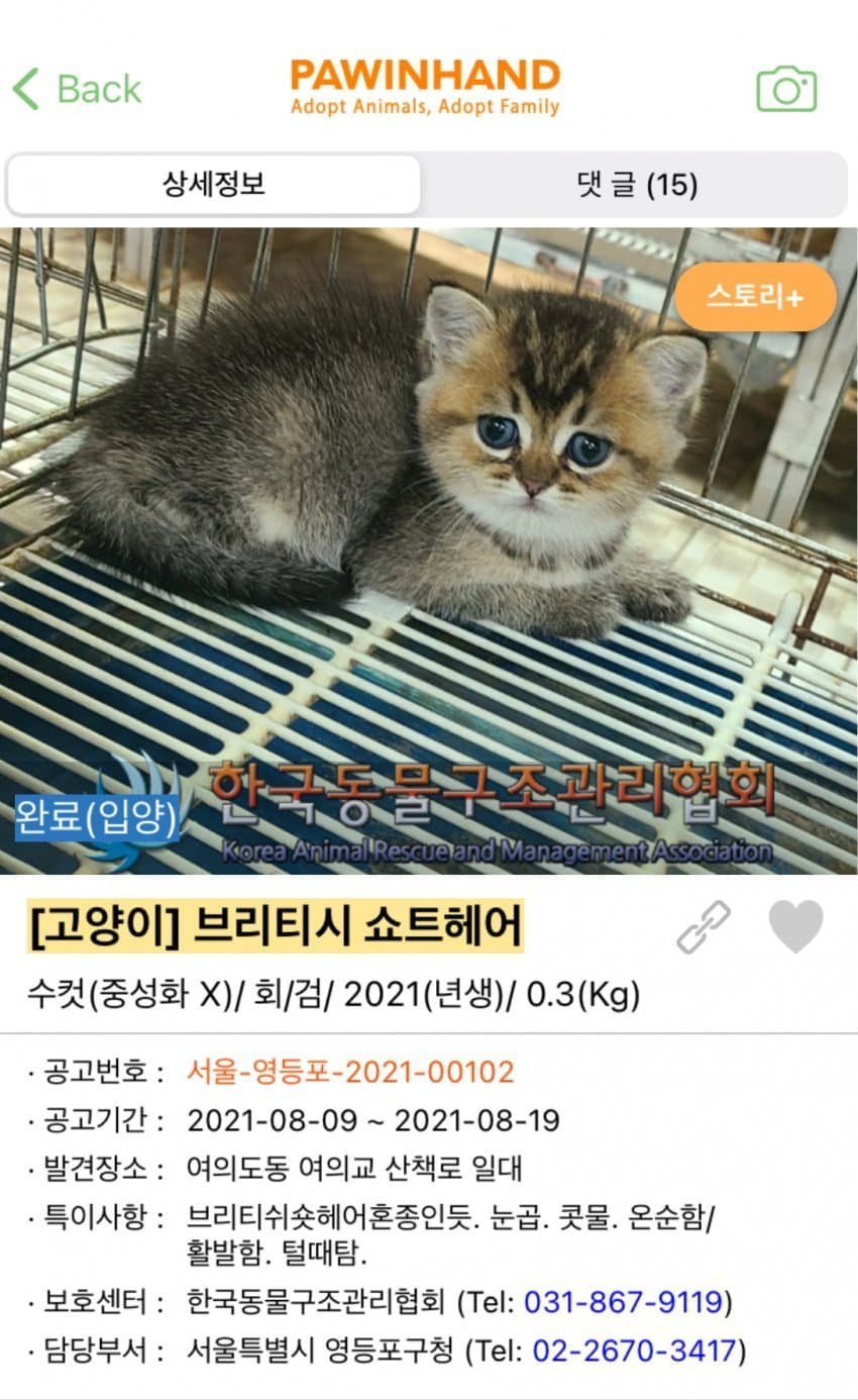 김짤.com_013.png