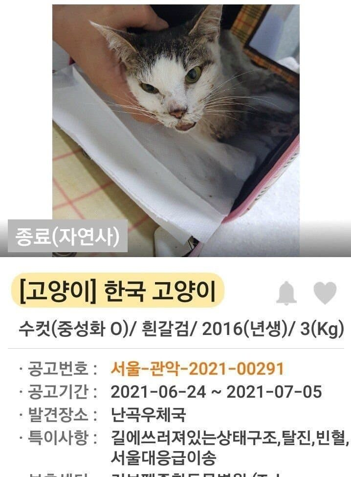 김짤.com_006.png