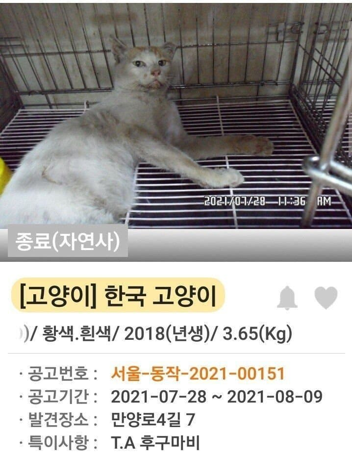 김짤.com_014.png