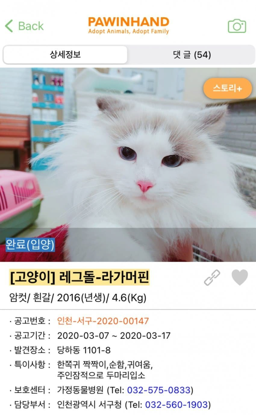 김짤.com_009.png