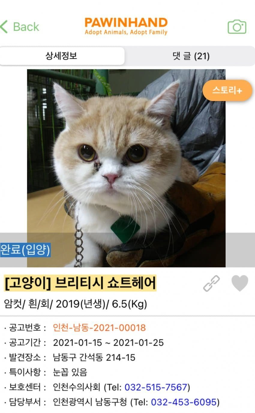 김짤.com_001.png