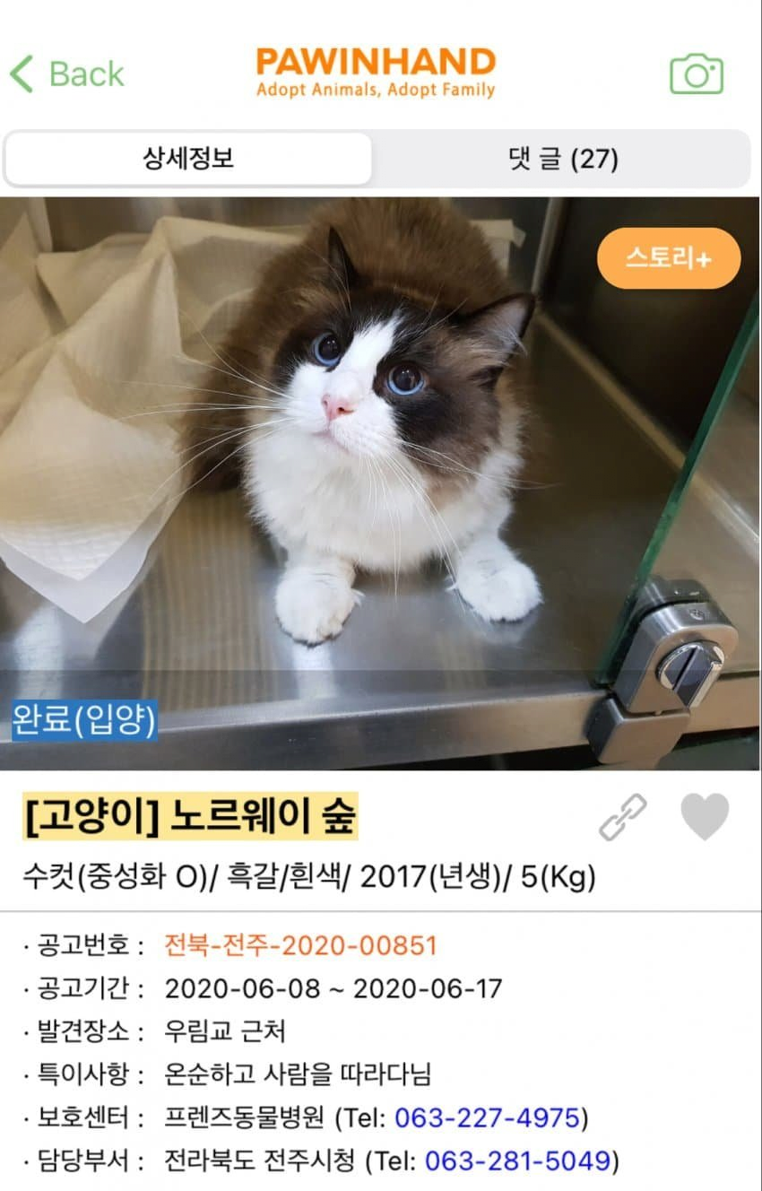 김짤.com_003.png
